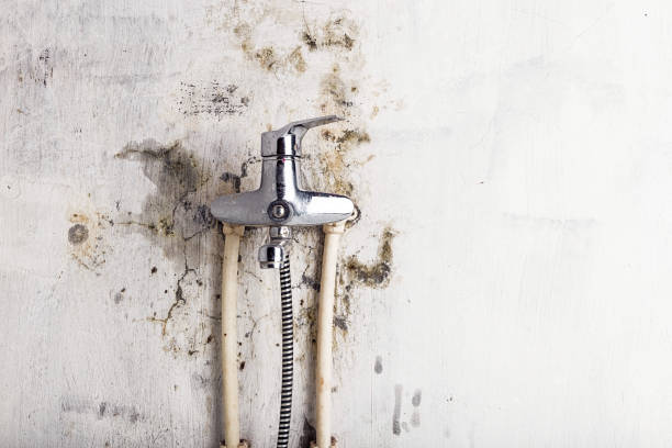 Best Post-Remediation Services in Stevens Point, WI