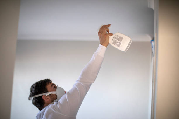Best Basement Mold Remediation in Stevens Point, WI