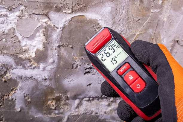 Best Mold Testing and Inspection Services in Stevens Point, WI