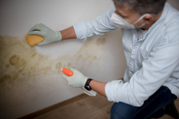 Stevens Point, WI Mold Remediation Company
