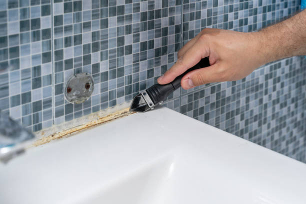 Best Mold Remediation for Specific Building Types in Stevens Point, WI